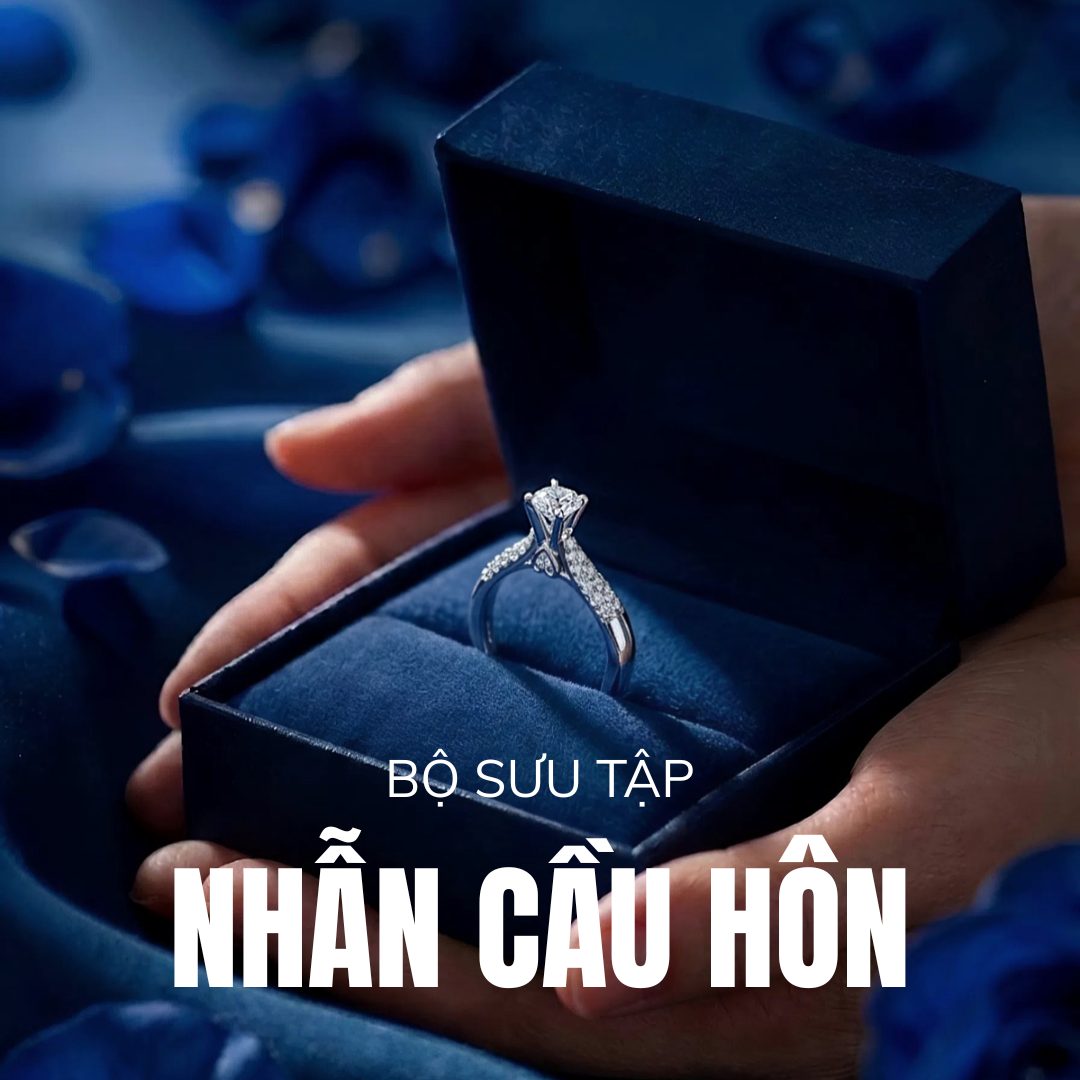 Bộ sưu tập